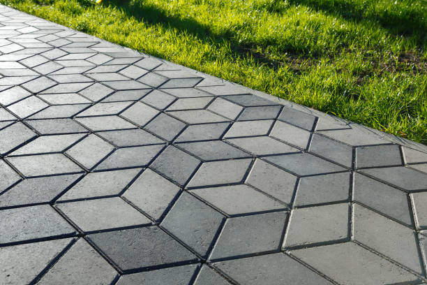 Best Driveway Repair Near Me  in Walcott, IA